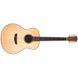 Акустическая гитара Washburn ELEGANTE S24S