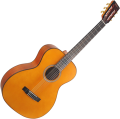 Класична гітара VALENCIA VA434VNA (4/4)