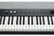Цифрове піаніно Kurzweil KA-P1 LB (стійка, пюпітр, блок живлення, педаль)