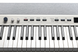 Цифрове піаніно Kurzweil KA-P1 WH (стійка, пюпітр, блок живлення, педаль)