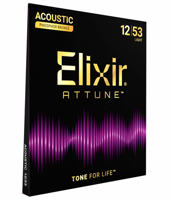 Струны для акустической гитары Elixir PB XW L (12-53)