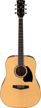 Гітара акустична IBANEZ PF15 NT