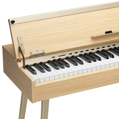 Цифровое пианино Donner DHP-300 PRO Beige (стойка, 3 педали, пюпитр, блок питания)