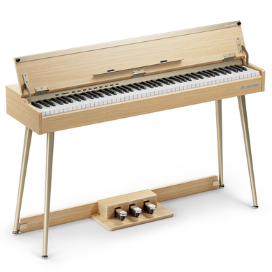 Цифровое пианино Donner DHP-300 PRO Beige (стойка, 3 педали, пюпитр, блок питания)