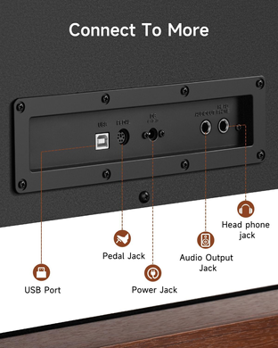 Цифровое пианино Donner DDP-200 PRO Dark brown (стойка, 3 педали, пюпитр, блок питания)