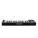 MIDI-клавіатура Arturia MicroLab mk3 (Black)