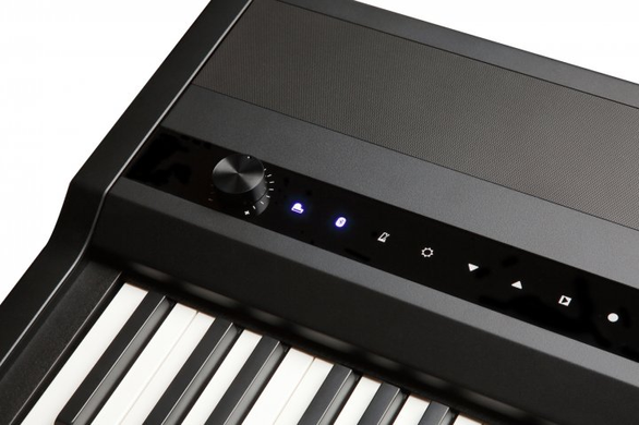 Сценическое пианино Kurzweil MPS110